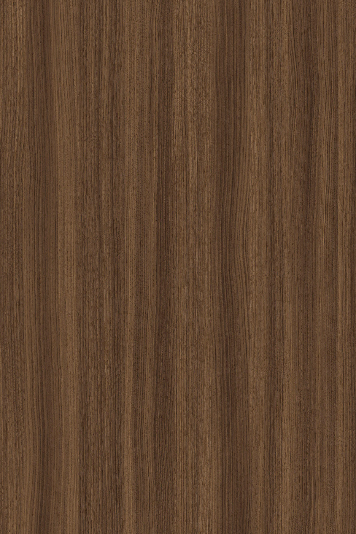 COUCHTISCH MORISS - Kastanienfarben/Weiß, Holzwerkstoff (55/100/36cm) - Meblini