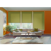 SEITENZUGROLLO lichtdurchlässig Ecofuture (100% Recyceltes Polyester) - Grün, Textil (150/190/190cm) - VIEWTEX