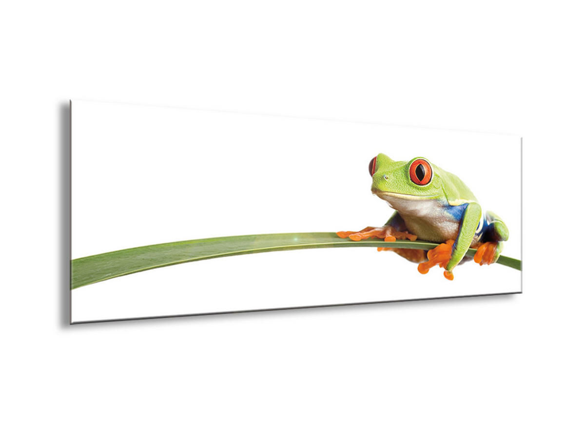 GLASBILD 80x30 cm Frosch Grün Orange - Orange, Glas (80/30cm) - artissimo