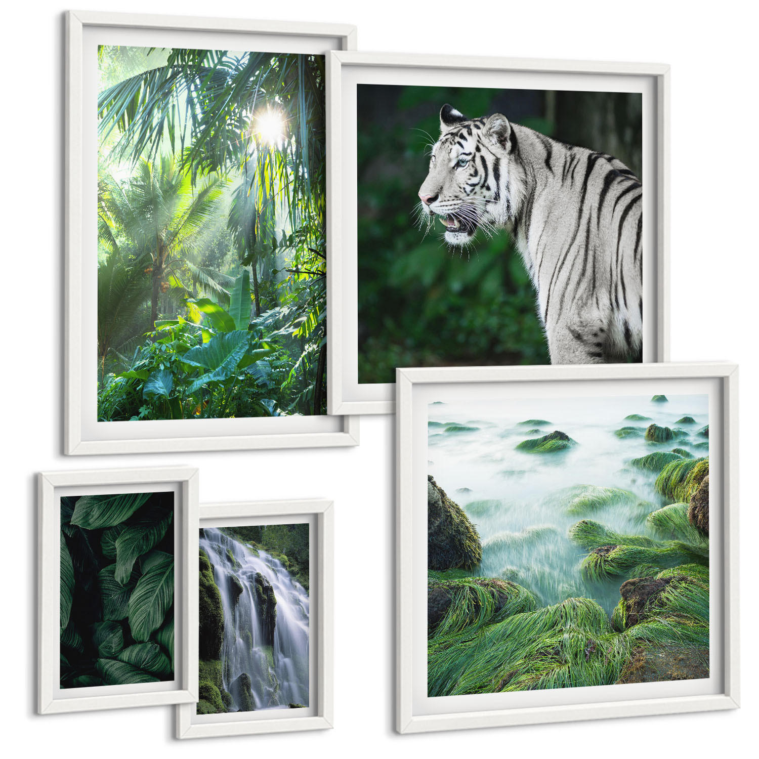BILDER SET 5er Set - 50x50 cm & 20x30 cm & 40x60 cm Weißer Rahmen - Blätter und Blüten in verschiedenen Farben - Weiß, Kunststoff (40/60cm) - TULUP