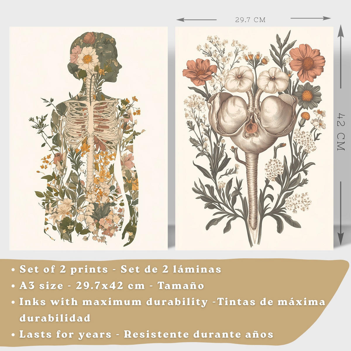 POSTER Set aus 2 Anatomie Mensch Drucke und Wandbilder mit Weiblicher Silhouette und Fortpflanzungssystem Botanischer Stil Größe Weißer Rahmen A3 - Weiß, Papier (29.7/42/3cm) - Nacnic