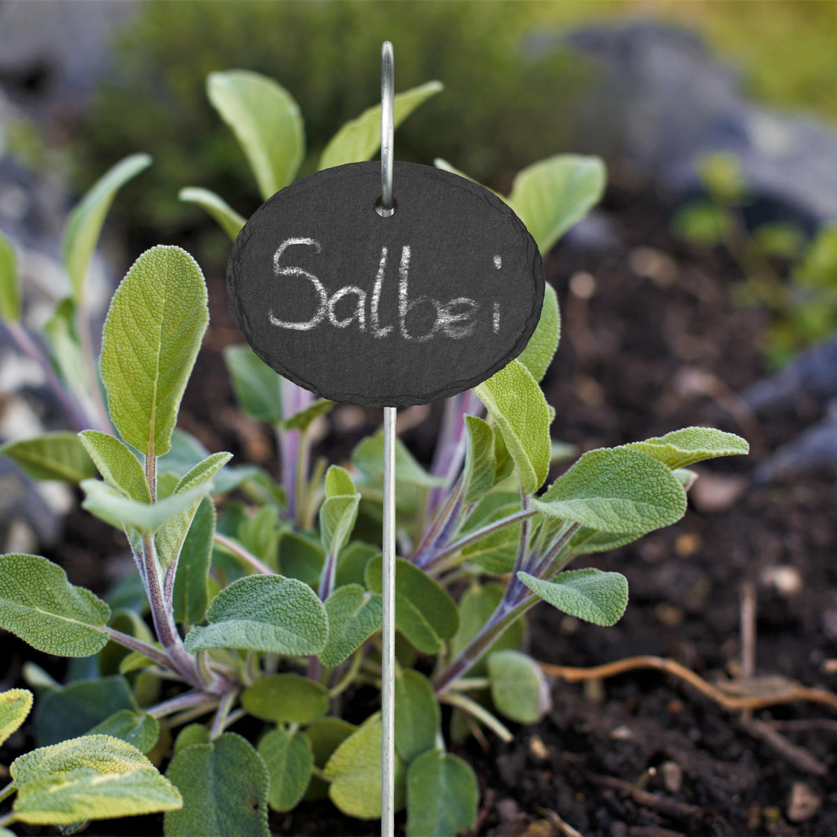 12XSCHIEFER-PFLANZENSCHILDER - Multicolor, Stein/Metall (9/42/6cm) - Relaxdays