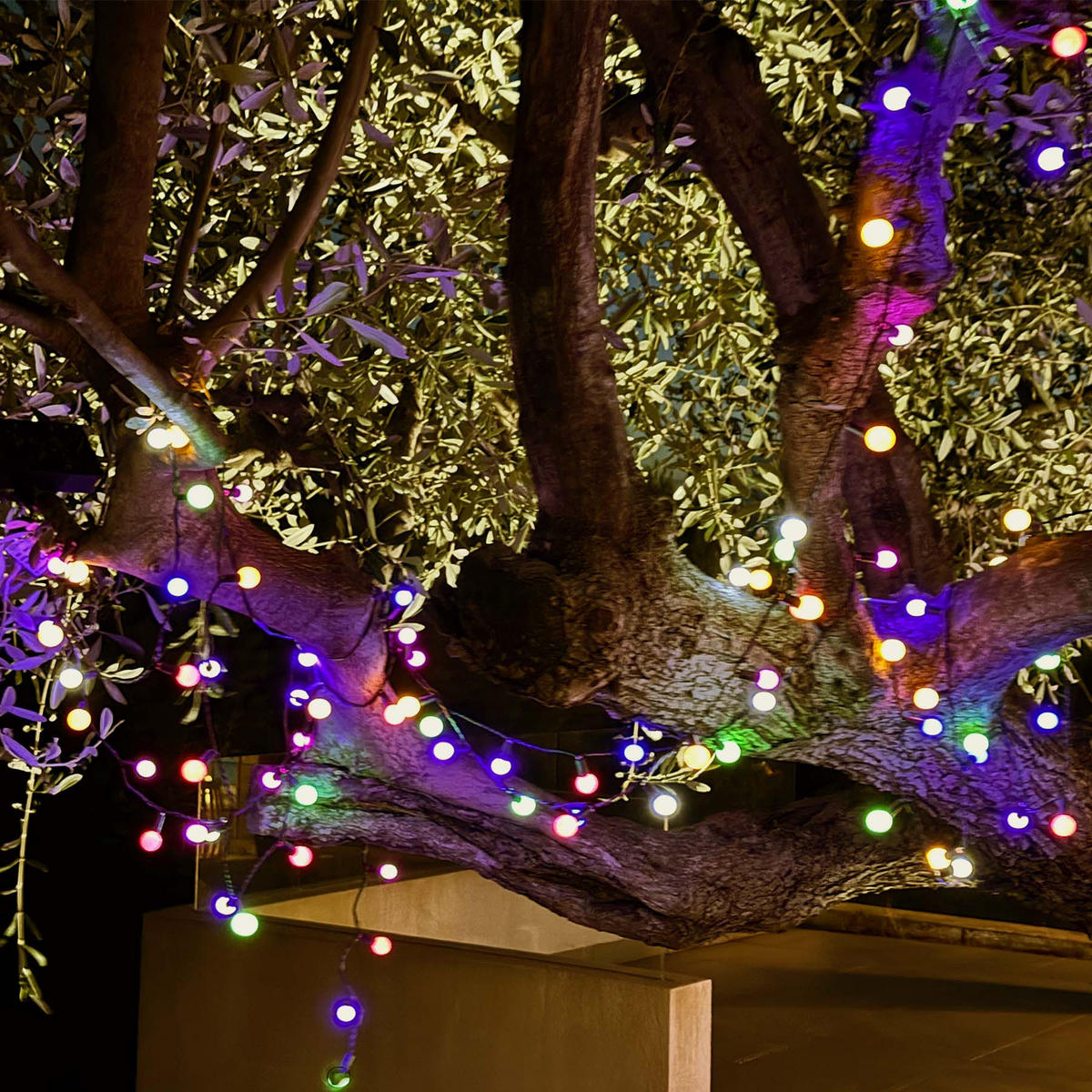 LICHTERKETTE BILLY mehrfarbig - Multicolor, Kunststoff (990/1/1cm) - Lumisky