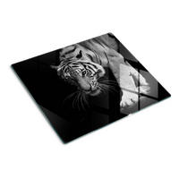 GLASPLATTE 60x52 cm Tiger - Schwarz/Braun, Glas (60/0.4/52cm) - TULUP