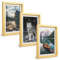 BILDER SET 3er Set - 20x30 cm Goldrahmen - Berge, Seen, Wölfe, Natur - Goldfarben, Kunststoff (20/30cm) - TULUP