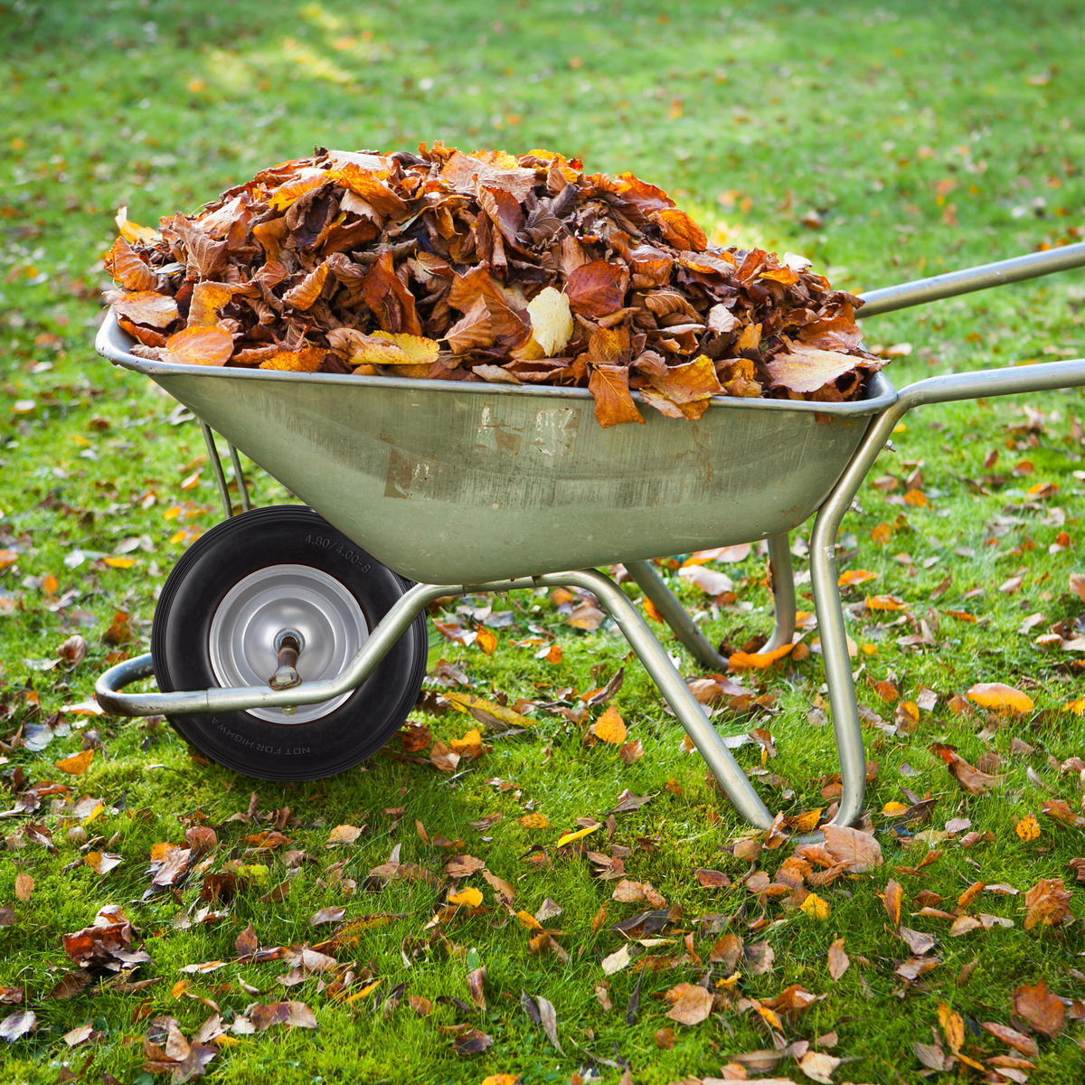 SCHUBKARRENRAD - Multicolor, Kunststoff/Metall (39/39/9cm) - Relaxdays