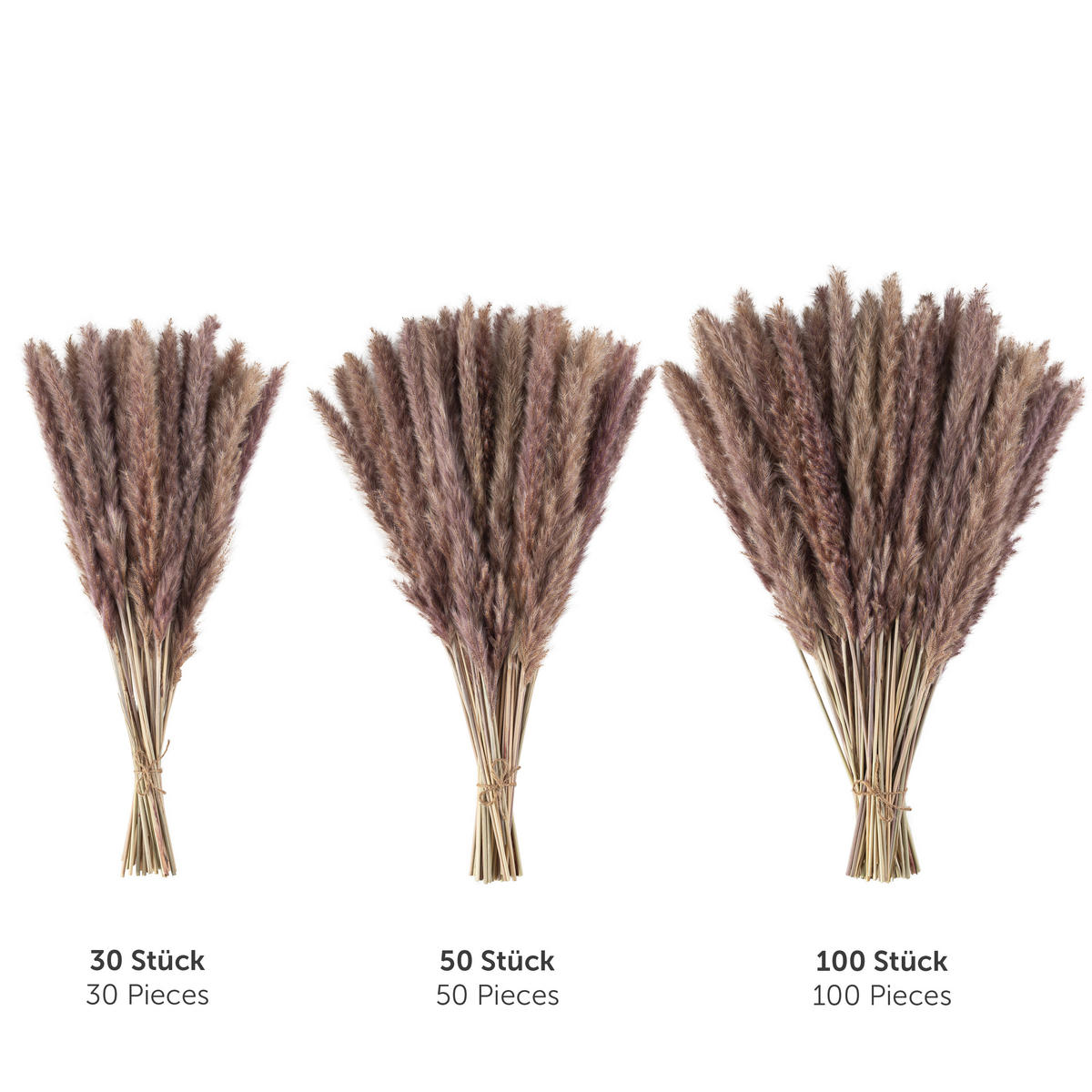 TROCKENBLUMEN - 30 Stück, 60 cm, für Trockenblumenstrauß oder Trockenblumen Deko, naturbraun - Braun, Naturmaterialien (60cm) - Blumtal