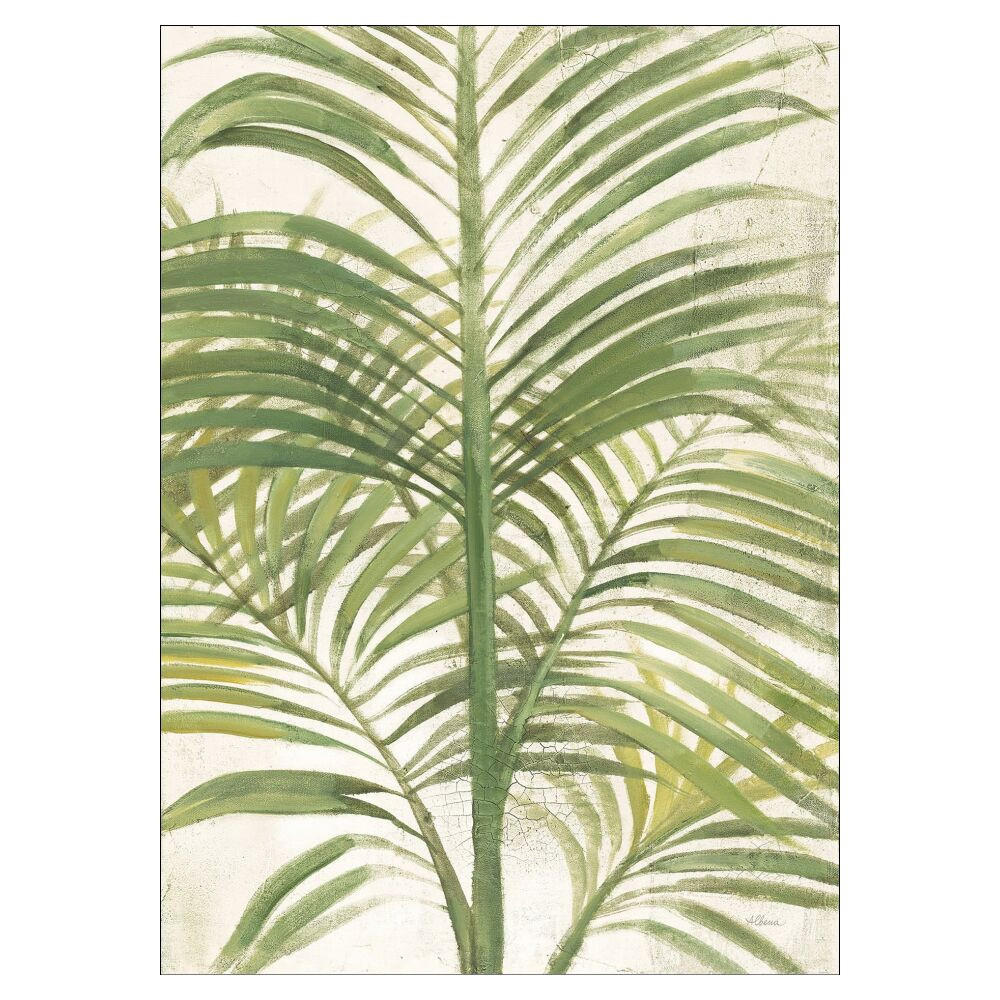 POSTER Wild Apple - Palms II Bright - Grün, Papier (70/100/0.1cm) - Poster&Frame