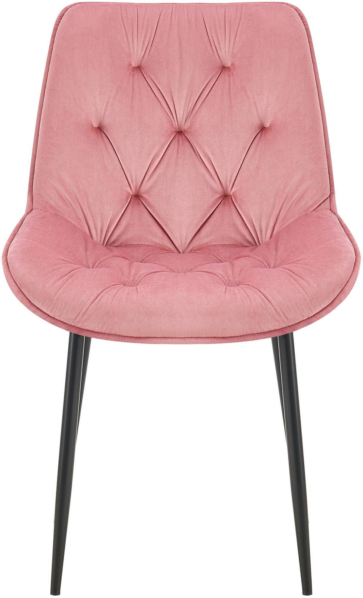 STUHL Samt rosa - Schwarz/Rosa, Textil/Metall (52/84/59cm) - CLP