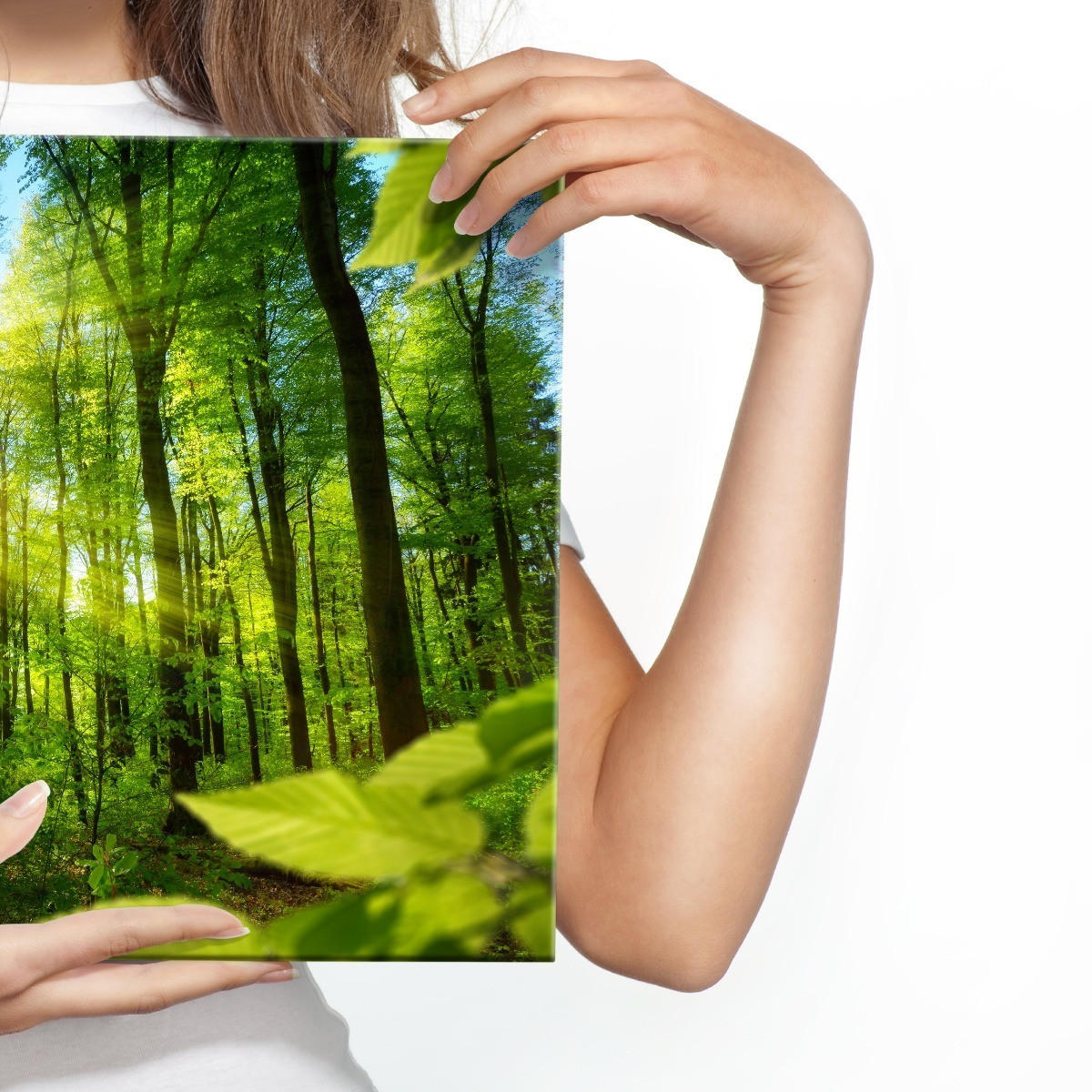 LEINWANDBILD Sonnenaufgang im Wald Natur 3D 120/80 cm - Blau/Beige, Textil (120/80cm) - Muralo