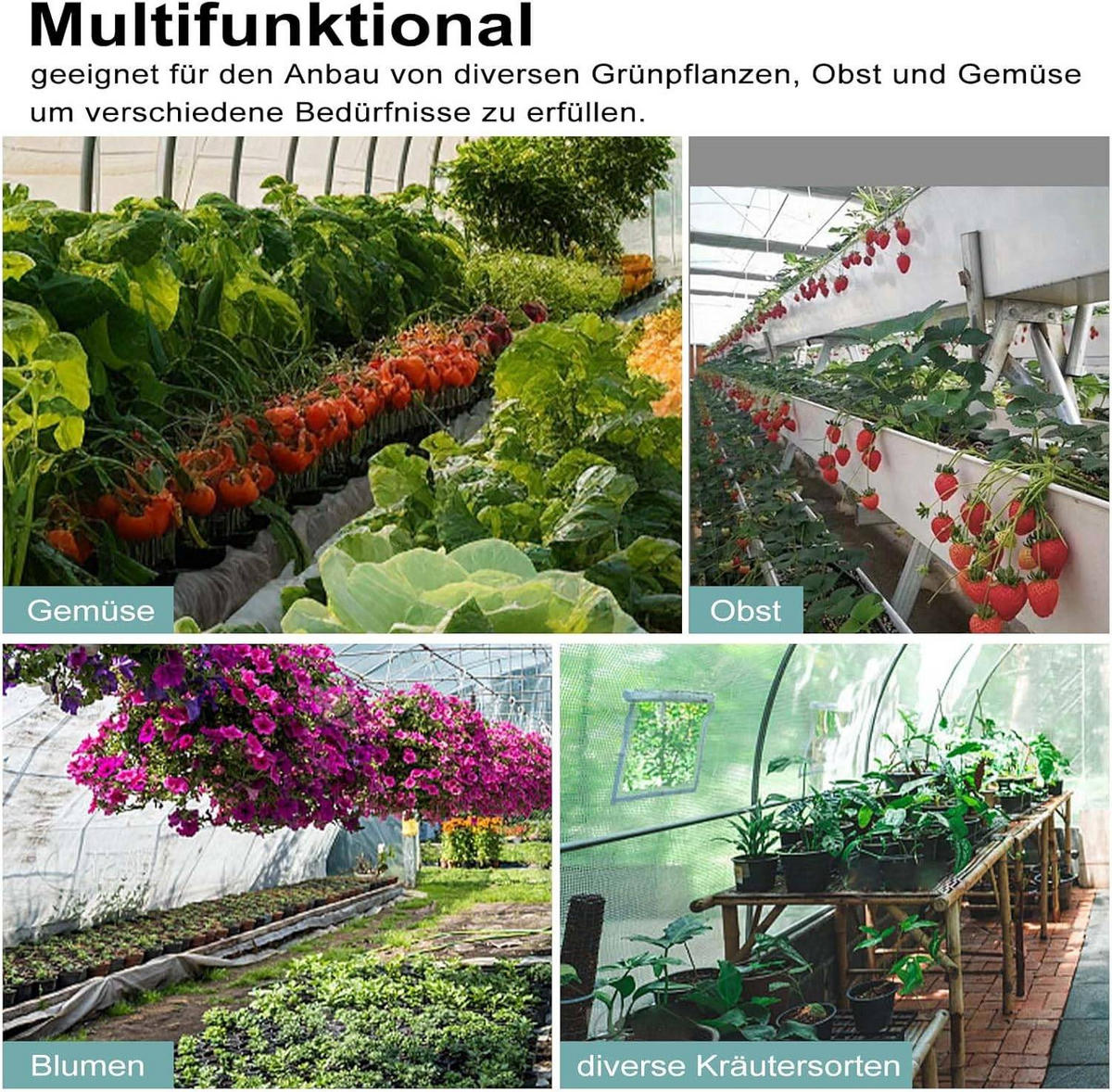 GEWÄCHSHAUS Winterfest, 300x300x200 cm, Weiß - Grün, Textil/Metall (300/200/300cm) - Woltu