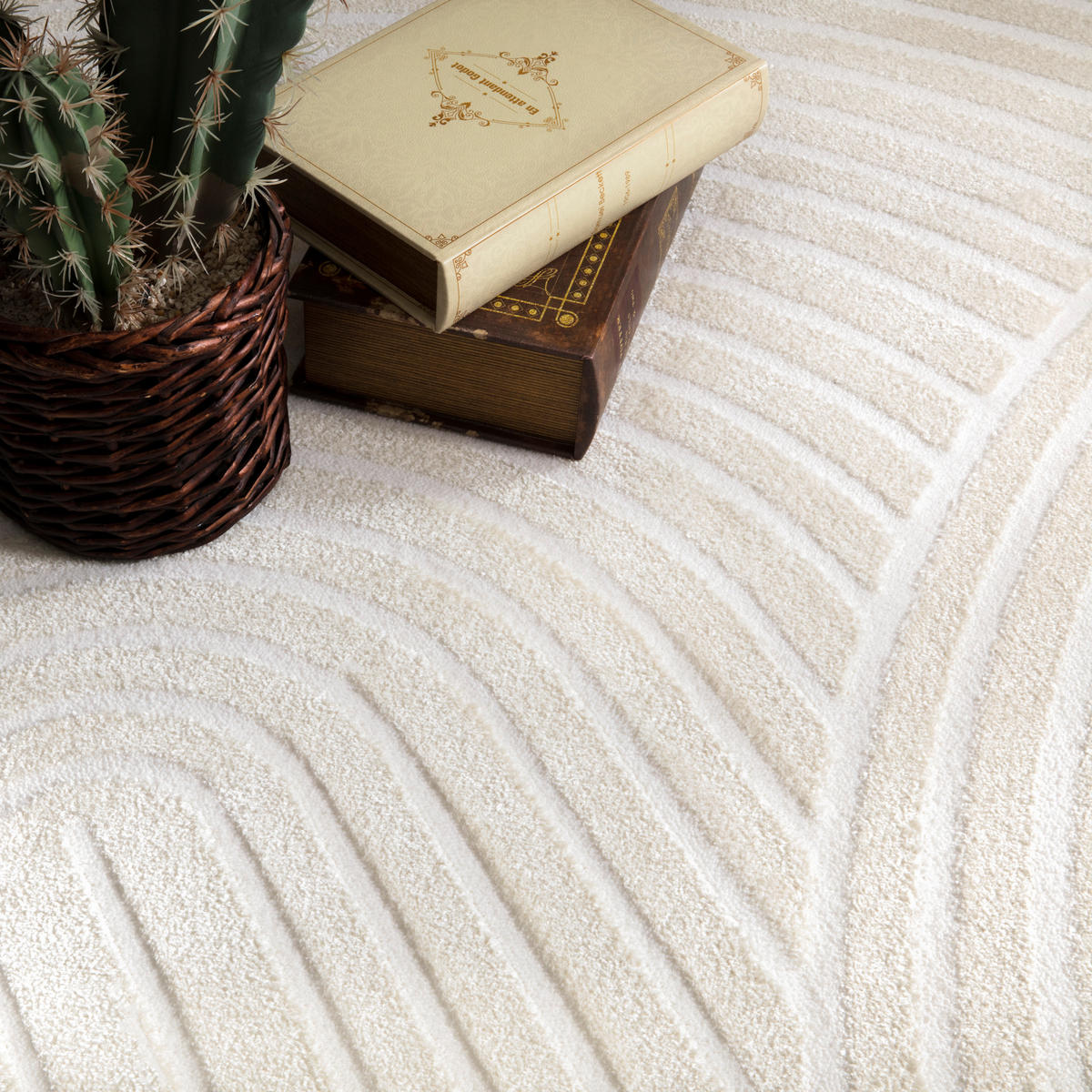 KURZFLORTEPPICH 240/340 cm Luzern 652 - Creme, Textil (240/340cm) - Paco Home
