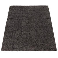 HOCHFLORTEPPICH 60/100 cm Sky 250 - Anthrazit, Kunststoff (60/100cm) - Paco Home