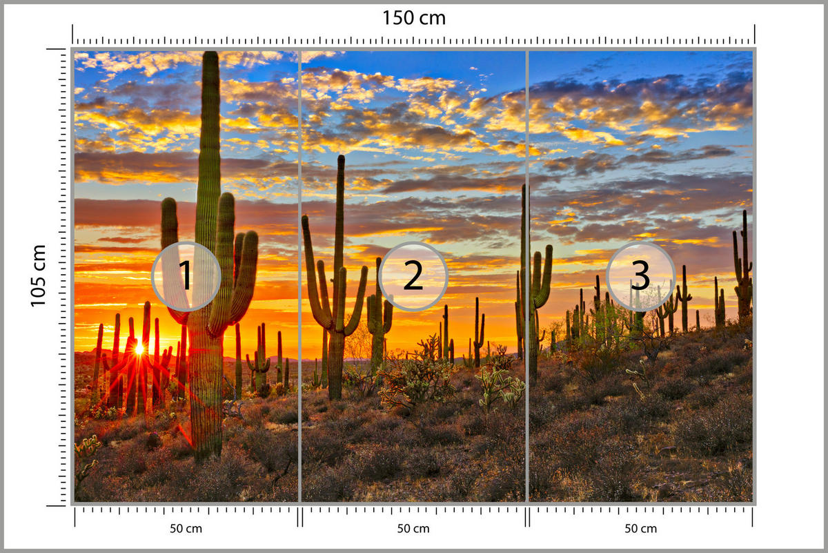 FOTOTAPETE für Wohnzimmer Wüsten Sonnenuntergang Kaktus Pflanzen 150x105 - Gelb/Beige, Papier (150/105cm) - Muralo