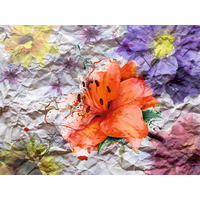 FOTOTAPETE Blumen 375 x 270 cm - Multicolor, Papier (375/270cm) - Sanders & Sanders