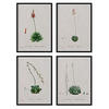 POSTER Set mit 4 of Succulent Bleche 2 des Künstlers PierreJoseph Redouté A4 Rahmenlos - Klar, Papier (29.7/3cm) - Nacnic