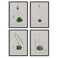 POSTER Set mit 4 of Succulent Bleche 2 des Künstlers PierreJoseph Redouté A4 Schwarzer Rahmen - Schwarz, Papier (29.7/3cm) - Nacnic