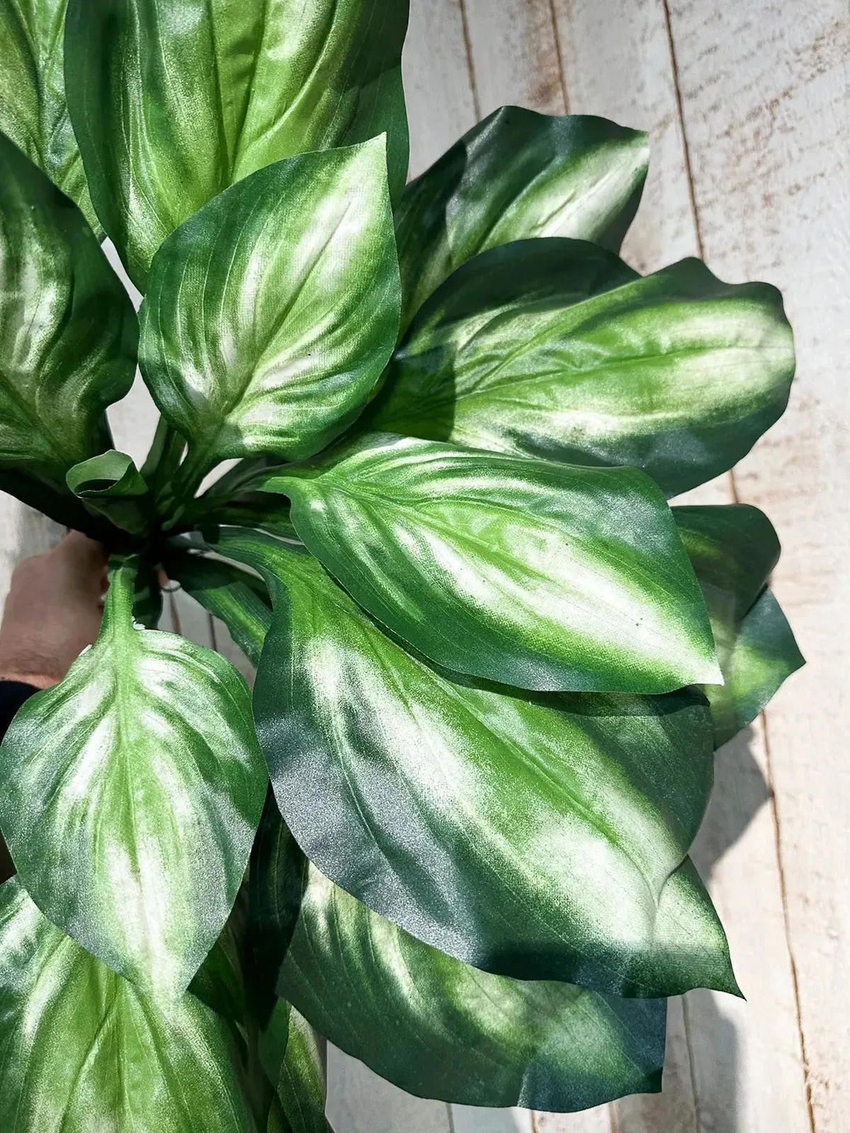 KUNSTPFLANZE Künstliche Funkie - Etienne 55 cm - Multicolor, Kunststoff (55cm) - aplanta