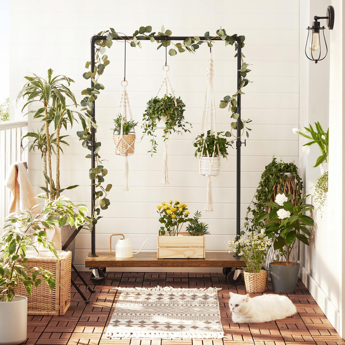 KLEIDERSTÄNDER Holzoptik Metall Dunkelbraun Schwarz auf Rollen 103,5x40x162 cm - Dunkelbraun/Schwarz, Holzwerkstoff/Metall (103/162.5/40cm) - Begryf