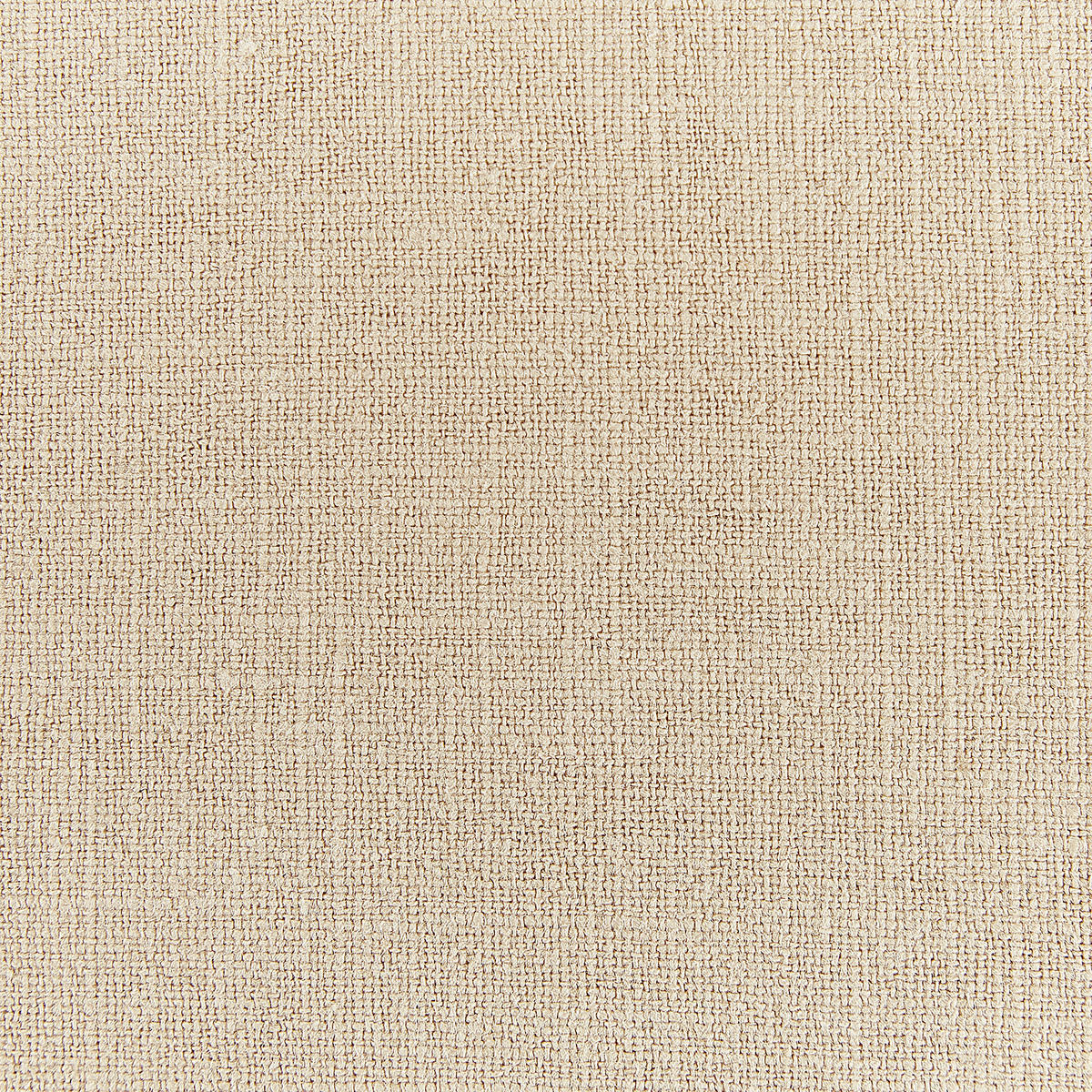 DEKOKISSEN 2er-Set Beige 45/45 cm Guzmania - Beige, Textil (45/45cm) - Beliani