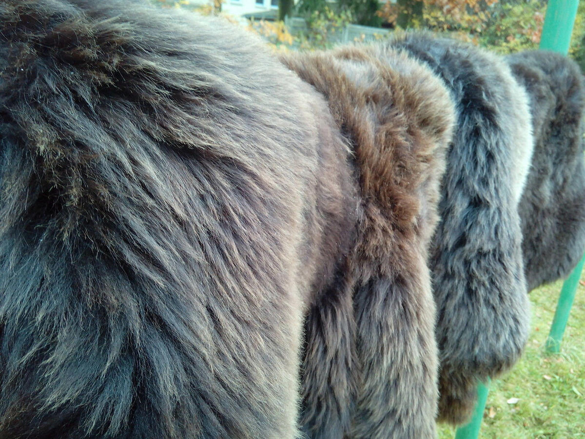 FELL Schaffell naturbraun ca. 90 cm - Braun, Fell (50/90cm) - Provellus