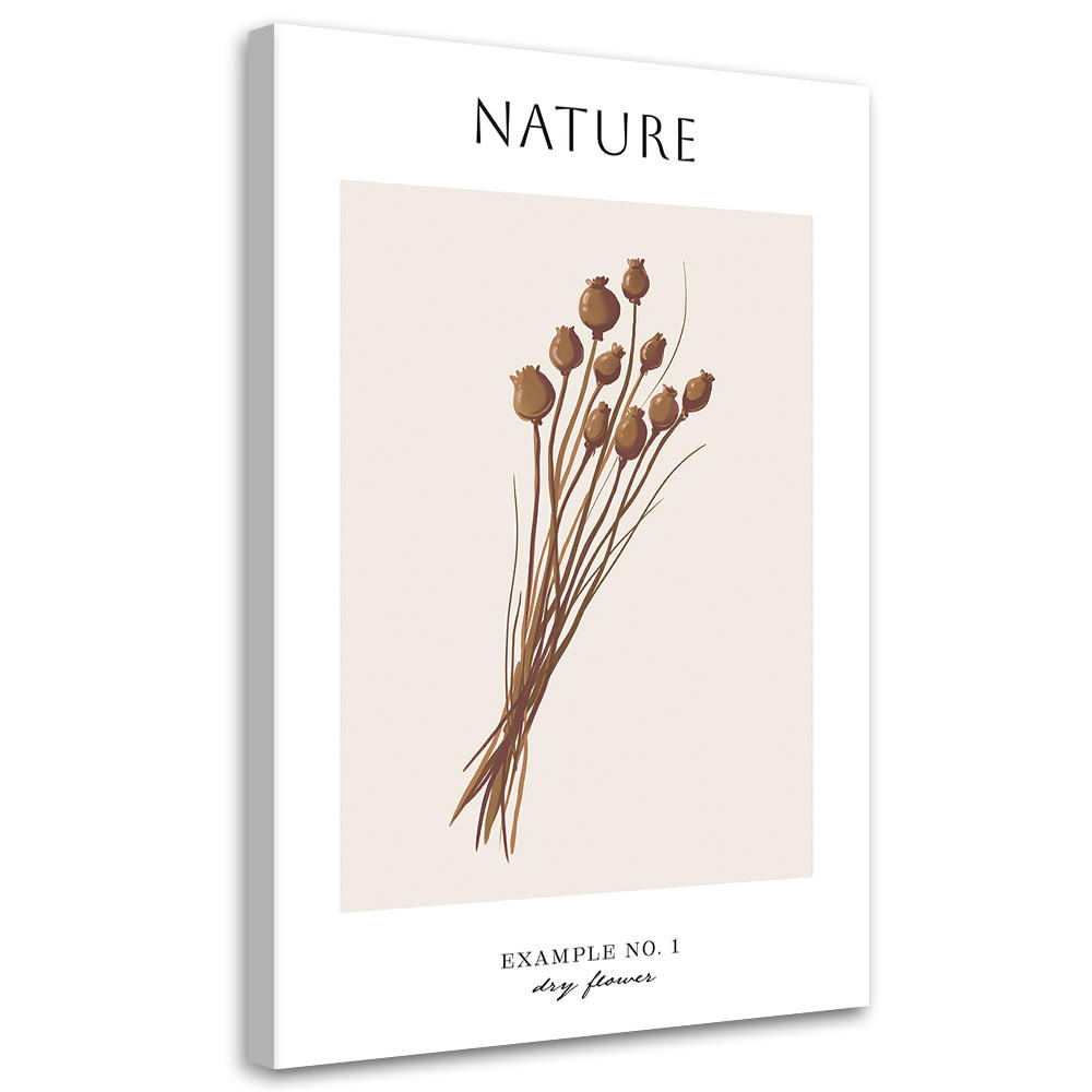 WANDBILD trockene blume natur - Beige, Textil (40/60cm) - Feeby