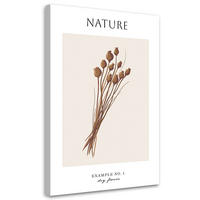 WANDBILD trockene blume natur - Beige, Textil (40/60cm) - Feeby