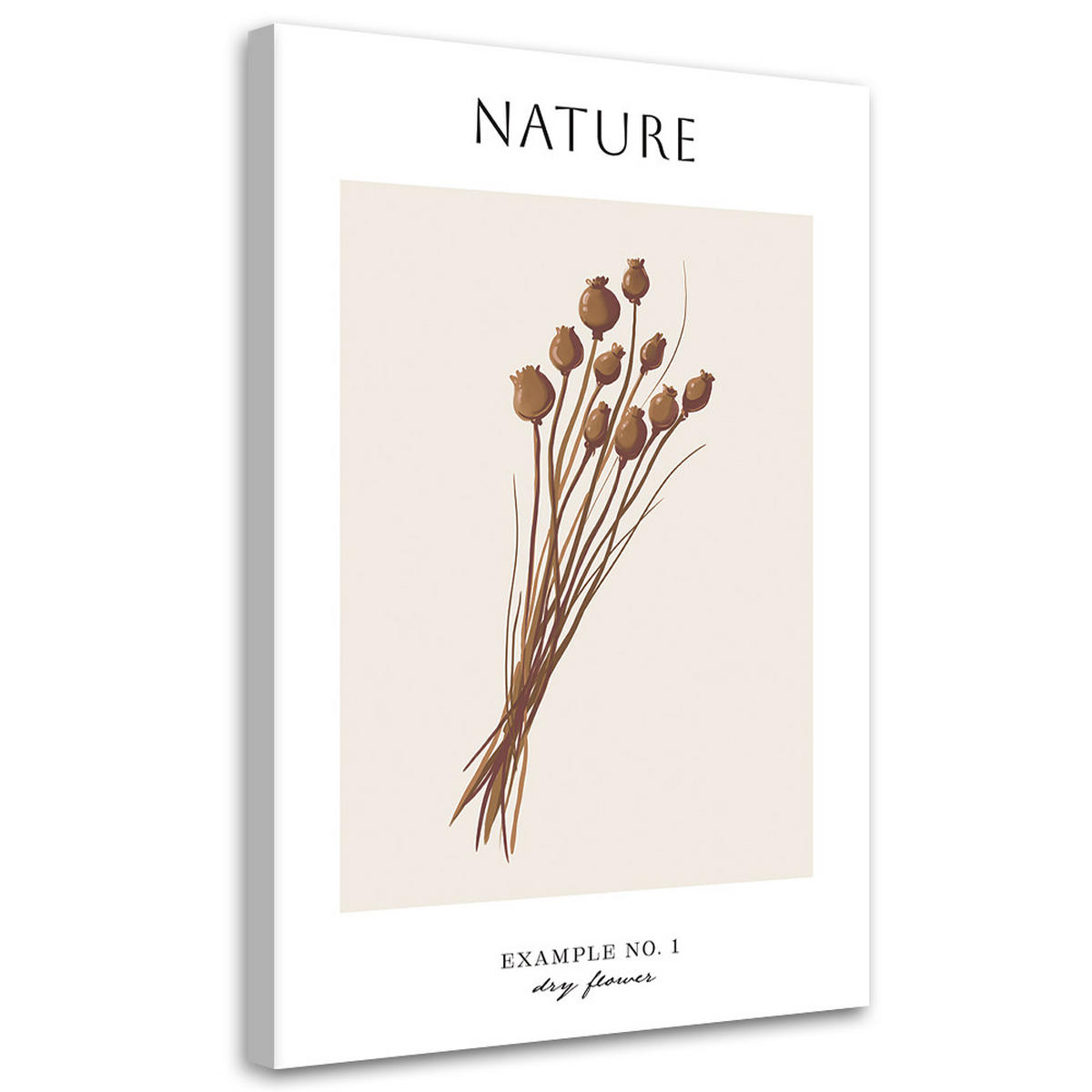 WANDBILD trockene blume natur - Beige, Textil (40/60cm) - Feeby