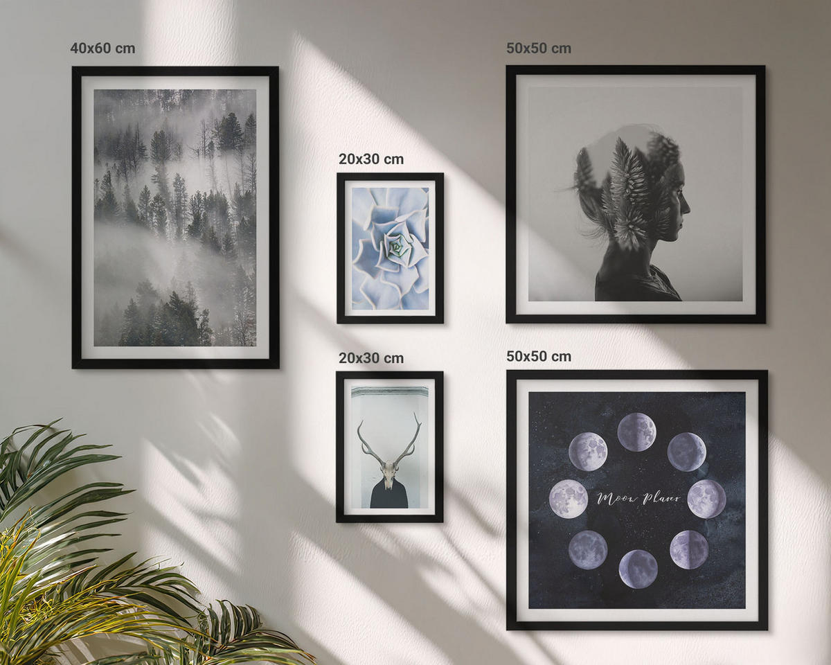 WANDBILDER 5er-Set - 50x50 cm & 20x30 cm & 40x60 cm Schwarzer Rahmen - Waldnebel, Mond, Schädel, Frau - Schwarz, Kunststoff (40/60cm) - ArtPrintCave