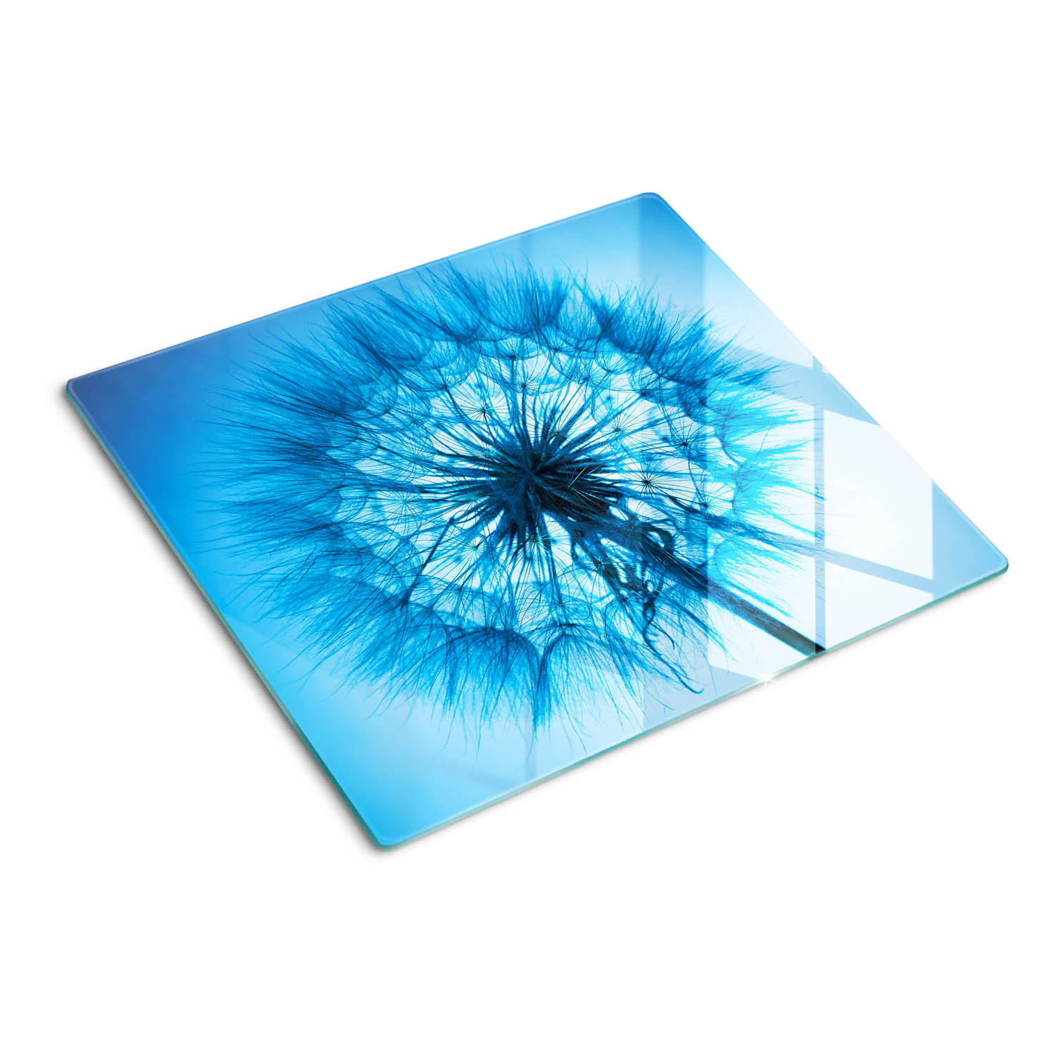 GLASPLATTE 60x52 cm Löwenzahn - Blau, Glas (60/0.4/52cm) - TULUP