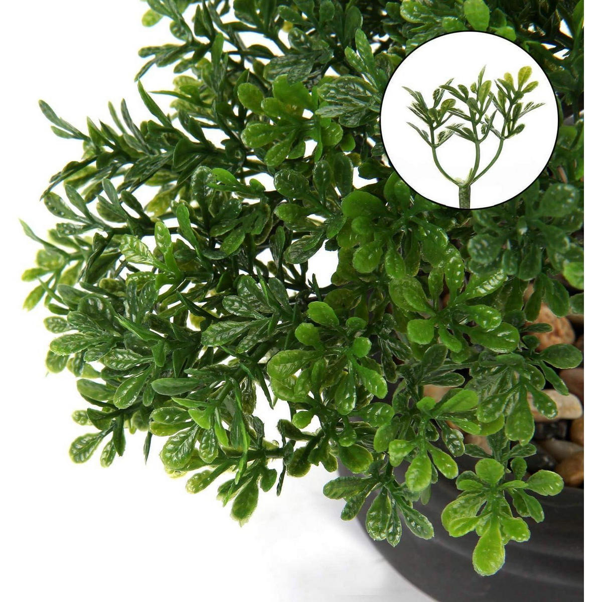 KUNSTBONSAI Podocarpus mit Keramik-Übertopf Schwarz 23 cm - Grün, Kunststoff (30cm)