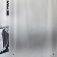 DUSCHVORHANG mattglasartig 120 x 180 cm - Transparent, Kunststoff (120/180cm)
