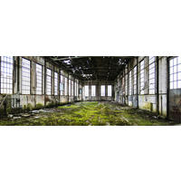 GLASBILD 80x30 cm Lost Place Architektur - Gelb, Glas (80/30cm) - artissimo