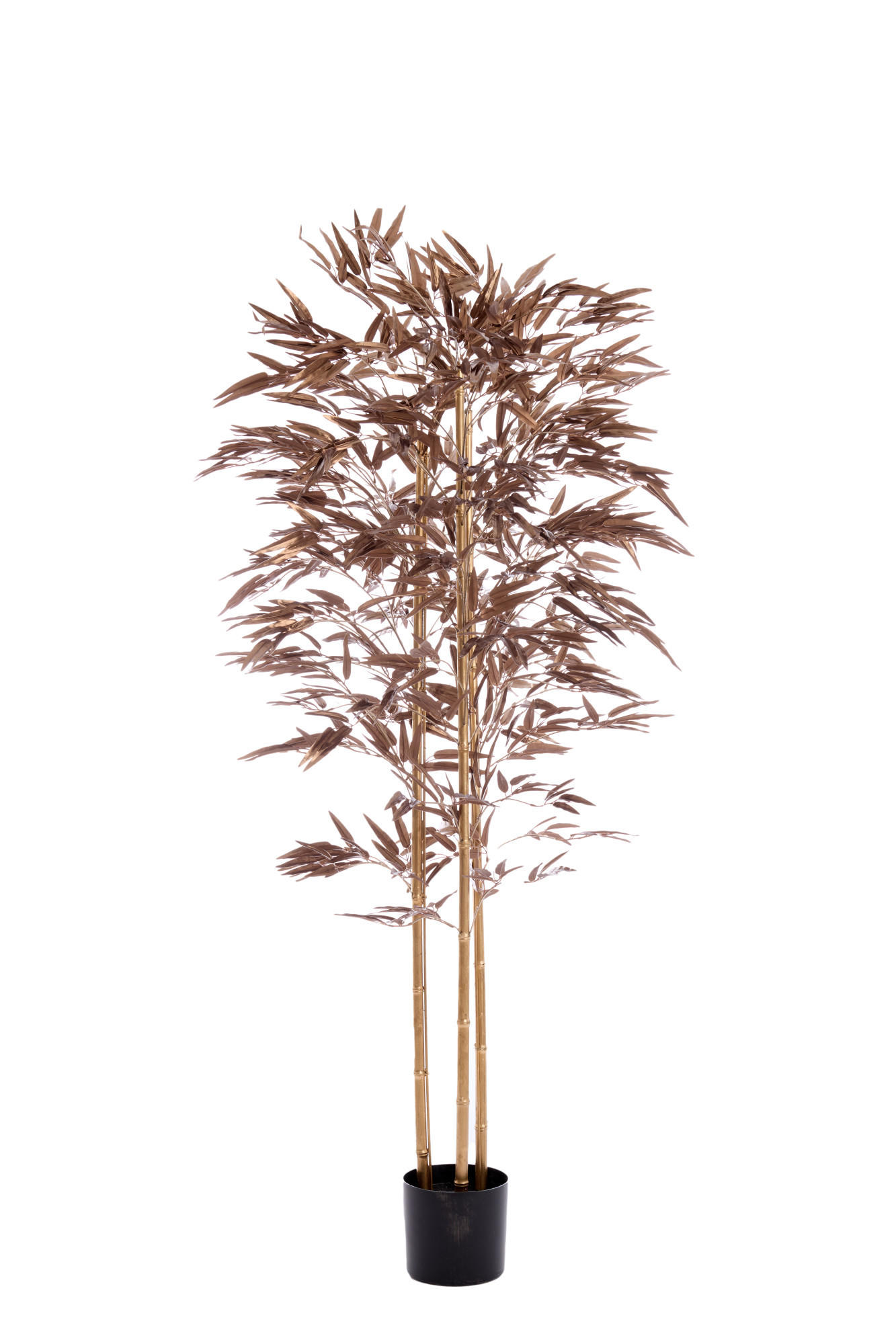 TOPF Bambus Bronze 180/100/180 cm - Bronzefarben, Kunststoff (180cm) - Light & Living