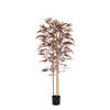 TOPF Bambus Bronze 180/100/180 cm - Bronzefarben, Kunststoff (180cm) - Light & Living
