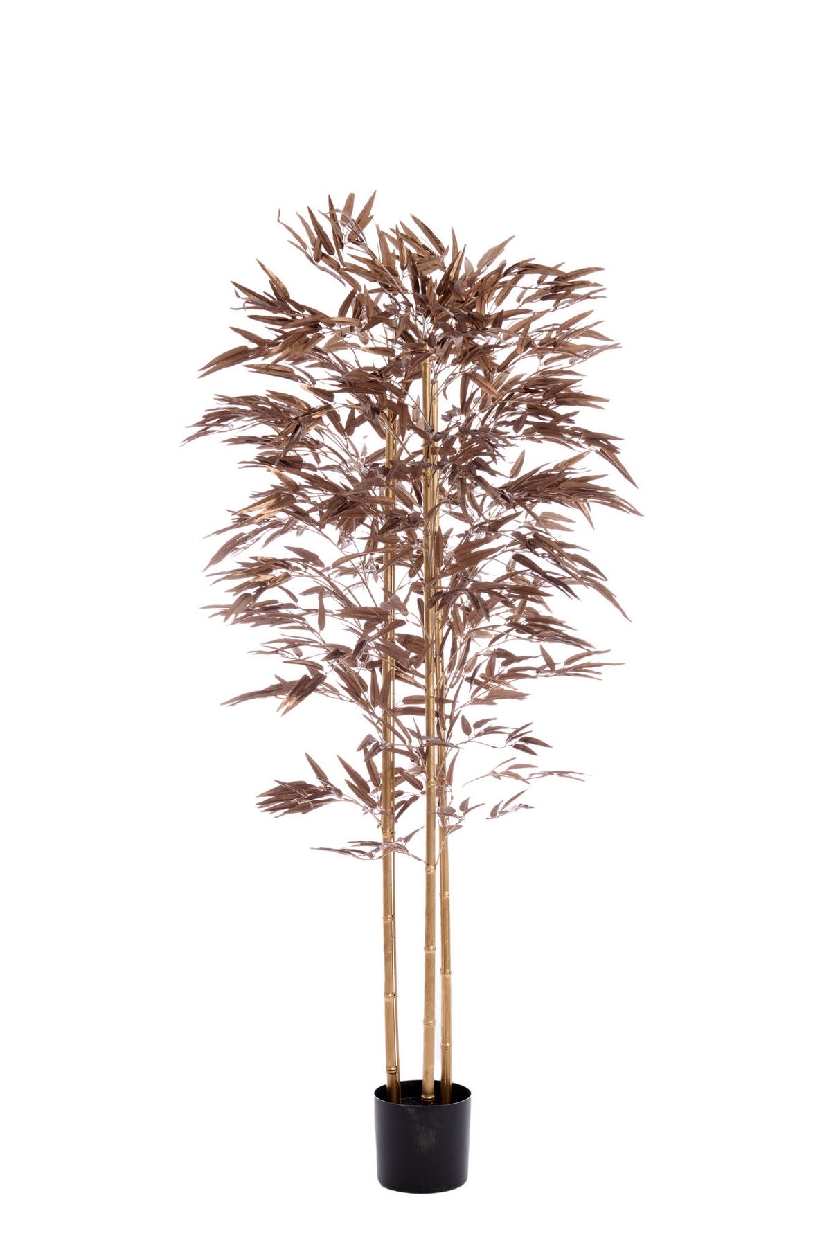 TOPF Bambus Bronze 180/100/180 cm - Bronzefarben, Kunststoff (180cm) - Light & Living