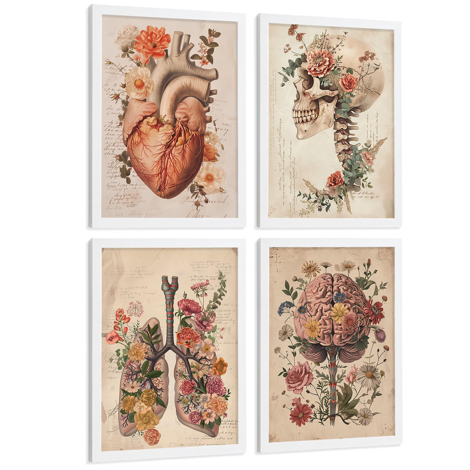 POSTER Set aus 4 Vintage Anatomie Drucke und Wandbilder mit Blumen Herz Lungen Schädel und Gehirn Medizinische Wanddekoration Größe Weißer Rahmen A4 - Weiß, Papier (21/29.7/3cm) - Nacnic