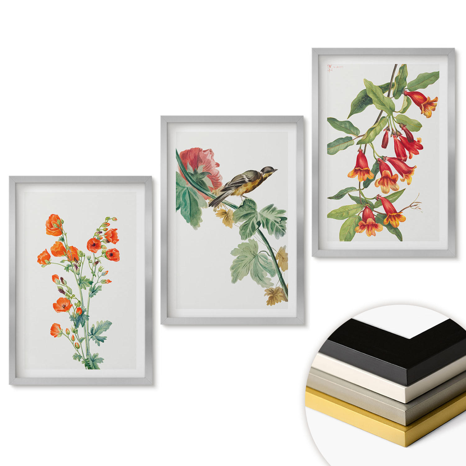 WANDBILDER 3er Set - 40x60 cm Silberner Rahmen - Gemalte Blumen und ein Vogel - Silberfarben, Kunststoff (40/60cm) - ArtPrintCave