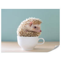 FOTOTAPETE für Esszimmer Igel Weiße Tasse Süß Tier 250x175 - Beige/Weiß, Papier (250/175cm) - Muralo