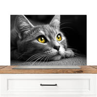 SPRITZSCHUTZ KÜCHE Katze - Grau - Tiere - Katze 80x55 cm - Grau, Metall (80/0.3/55cm) - MuchoWow