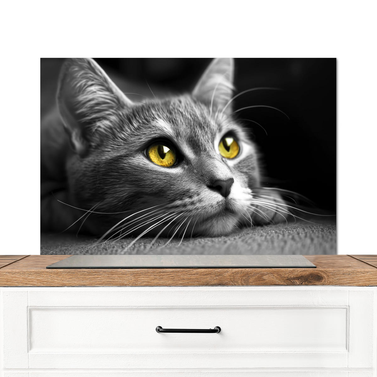 SPRITZSCHUTZ KÜCHE Katze - Grau - Tiere - Katze 80x55 cm - Grau, Metall (80/0.3/55cm) - MuchoWow