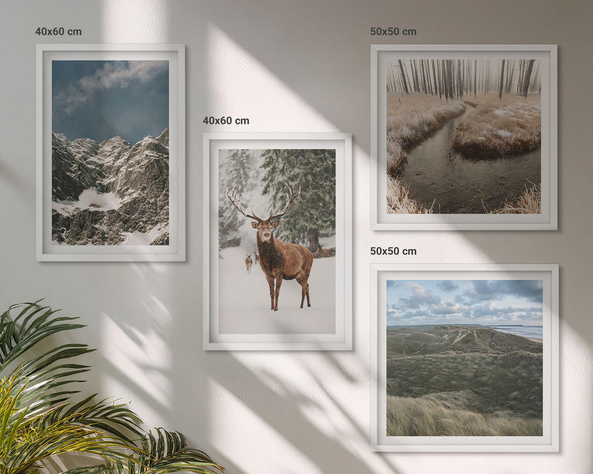 BILDER SET 4er Set - 50x50 cm & 40x60 cm Weißer Rahmen - Berge, Schnee, Hirsche, Waldlandschaft - Weiß, Kunststoff (50/50cm) - TULUP