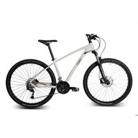 MOUNTAINBIKE Hawk Trail One 3x9 Gang 29er Hellgrau 29 Zoll Gr: S;M;L - Hellgrau, Metall (43cm) - Hawk Bikes