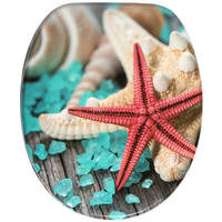 WC-SITZ mit Absenkautomatik Bath Salts - Türkis, Holzwerkstoff (38/6/47cm) - Sanilo