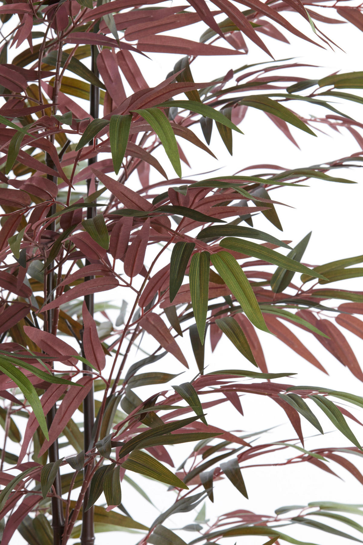 TOPF Bambus Grün 70/60/180 cm - Grün, Kunststoff (180cm) - Light & Living