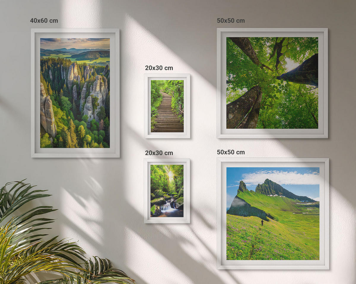 BILDER SET 5er Set - 50x50 cm & 20x30 cm & 40x60 cm Weißer Rahmen - Grüne Berge Wasserfallwald - Weiß, Kunststoff (40/60cm) - TULUP