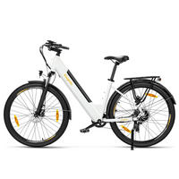 E-BIKE Eleglide T1 ST – Extensive 100 km Reichweite herausnehmbarer Akku - Grau, Metall (25cm)