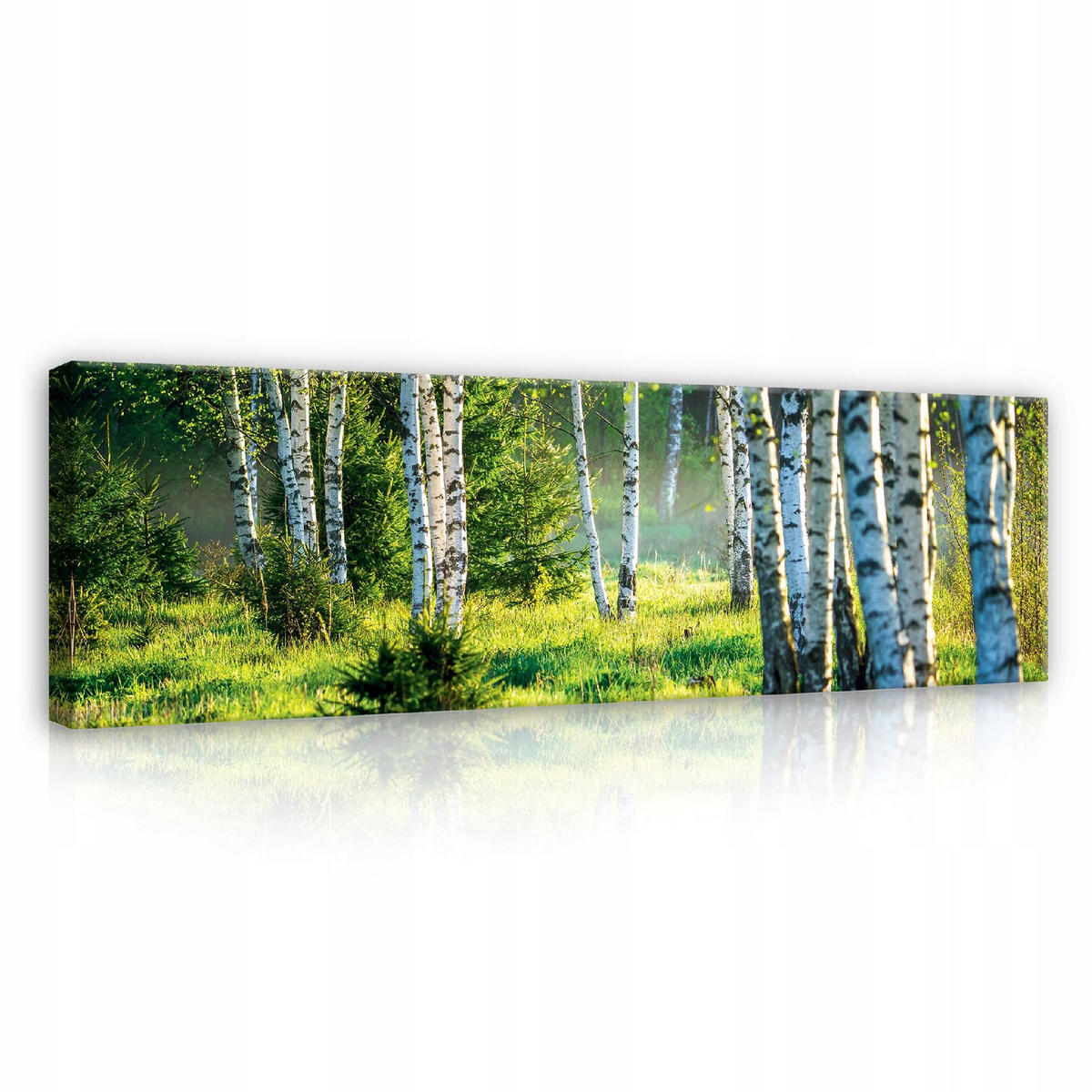 BILDER Wald Modern Wohnzimmer Schlafzimmer 145x45 - Multicolor, Holzwerkstoff (145/45cm) - Wallarena