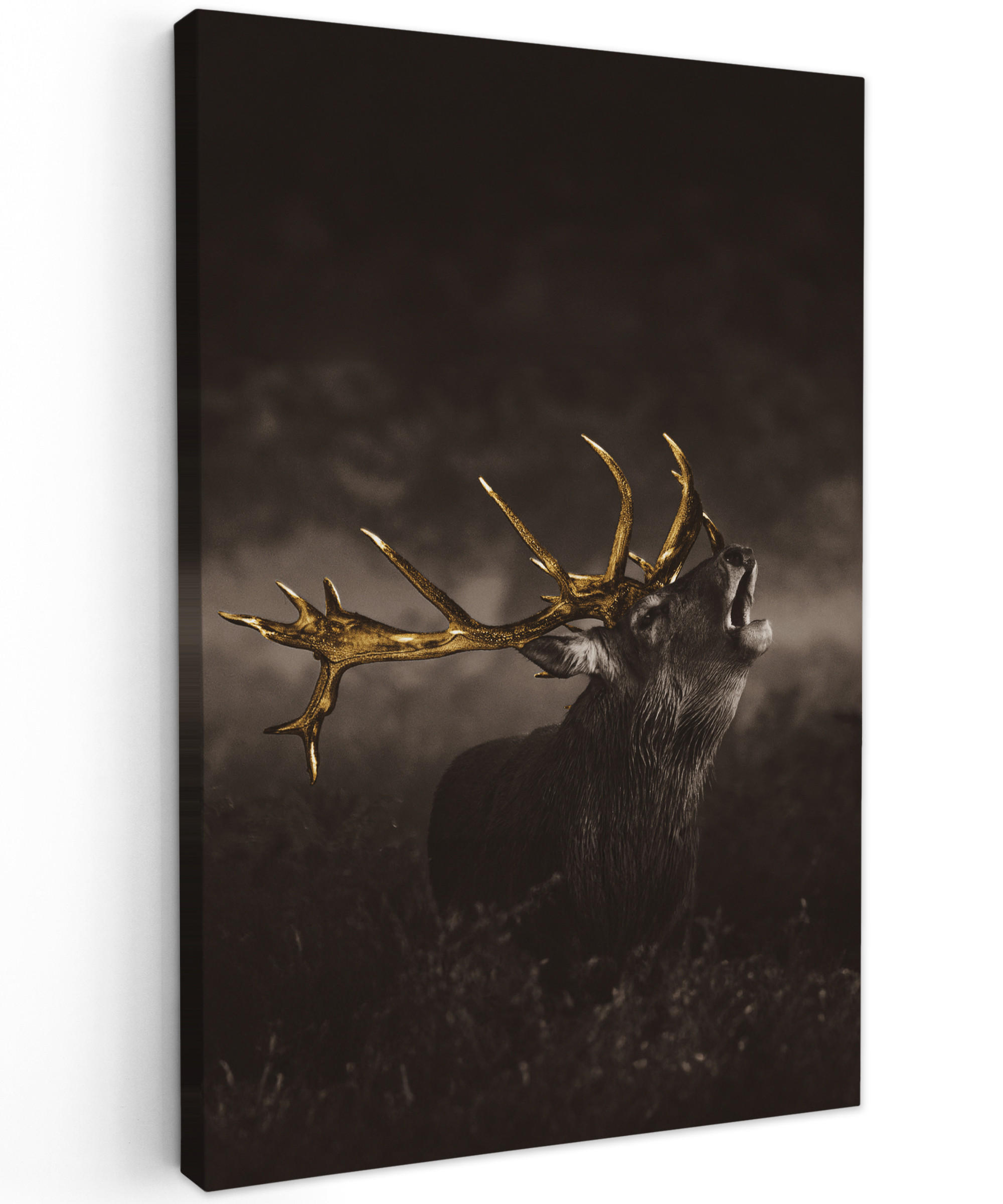 OBRAZ NA PLÁTNĚ Jelen - černý - zlatý 90x140 cm - hnědá, textil (90/140cm) - MuchoWow
