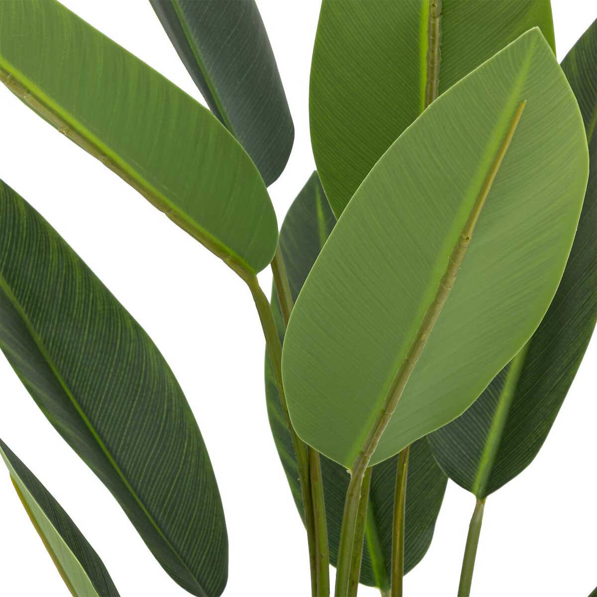 DEKOPFLANZE Strelitzia 97 cm - Grün, Kunststoff (97cm) - Atmosphera Createur d´interieur